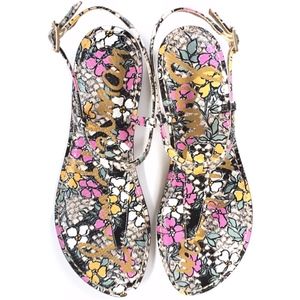 Sam Edelman Gigi Sandals Thongs Flat Floral NWOT 9